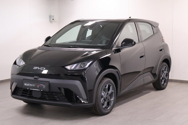 BYD leasen